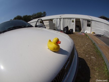 Duck on a Volvo S40