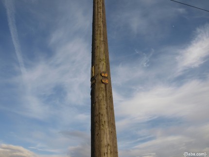 Telegraph pole