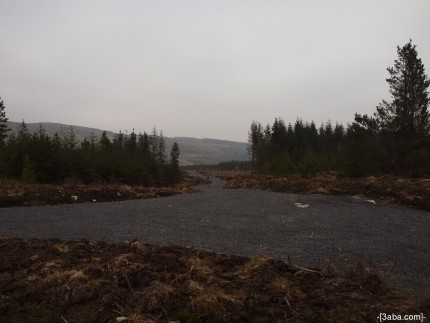 Forest road - Ireland