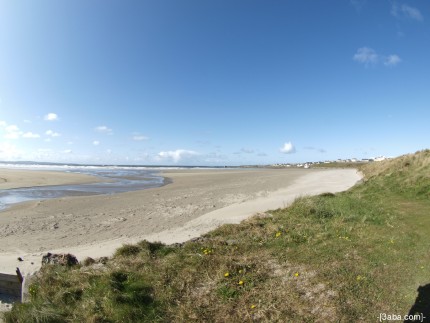 Enniscrone brach - Ireland