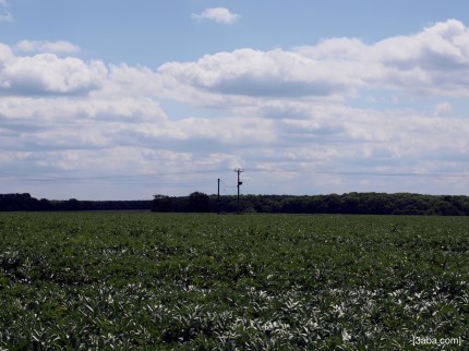 2 Posts, Lincolnshire