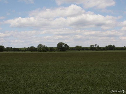 More trees, Lincolnshire