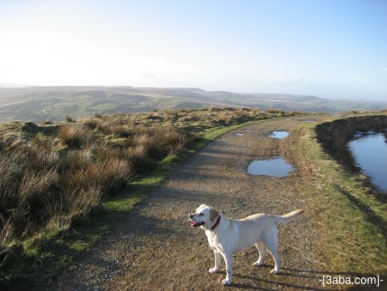 Chloe, Blackstone Edge Resivour