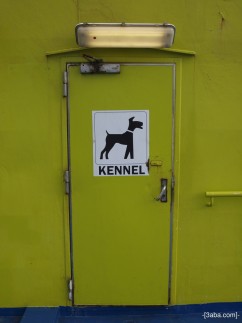 Kennel on ferry to Helsinki