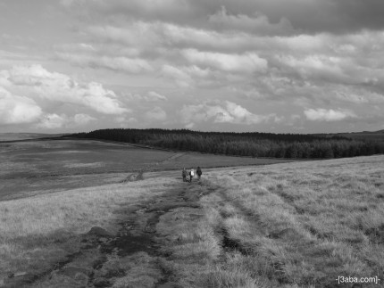 Walkers, Stoodley Pike